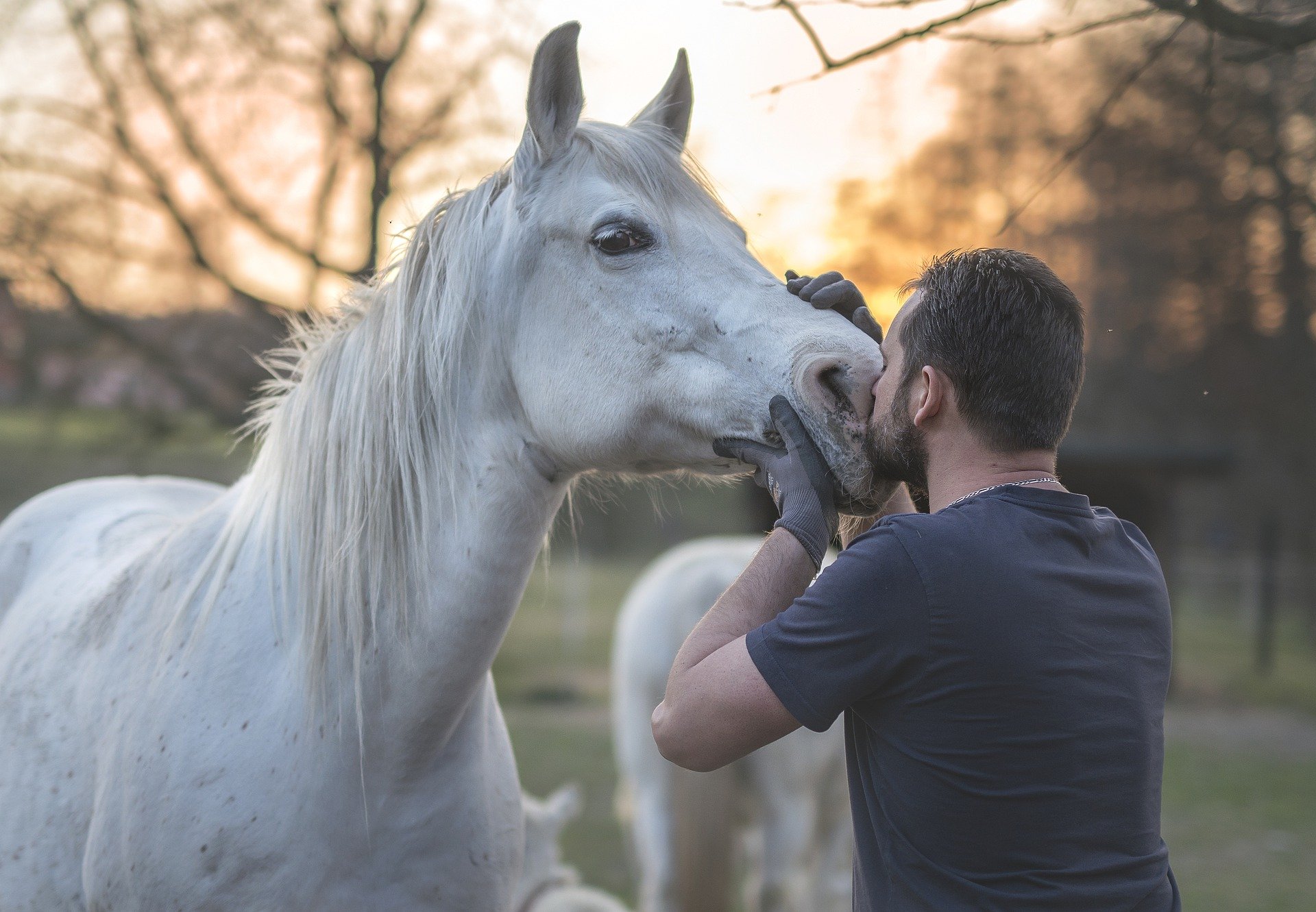 Mężczyzna całuje konia maści siwej.